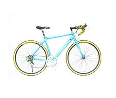 經典入門之選 捷安特風速900公路自行車深度解析